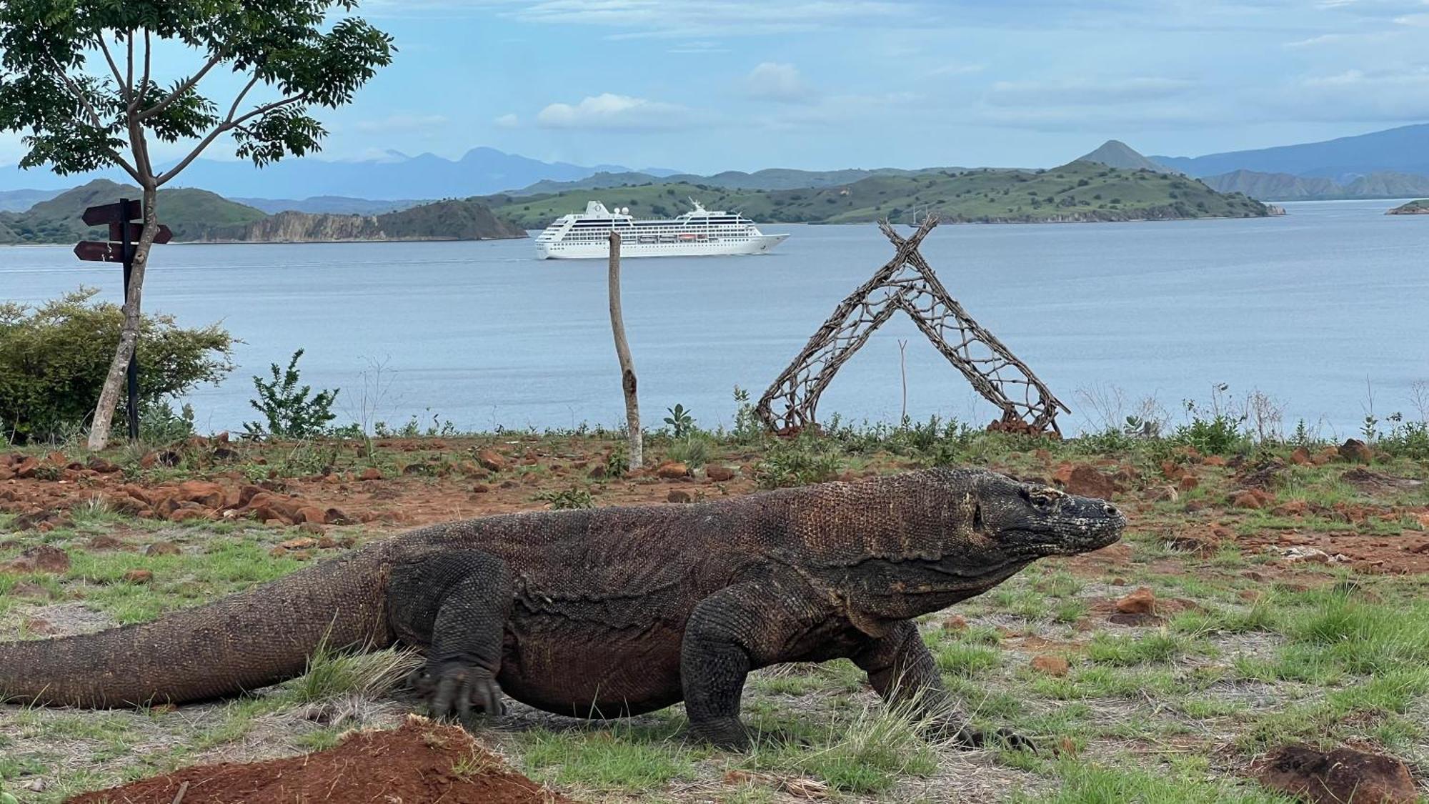 Jhuna Komodo Homestay Kültér fotó